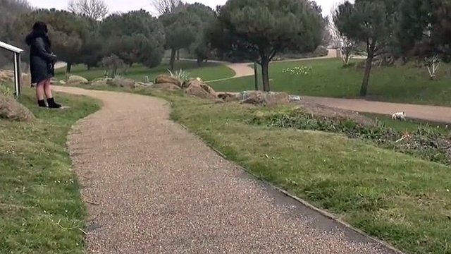 Chubby wife of british glad flashing in the park