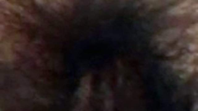 stepson loves my fat hairy mature pussy and records it pays to jerk off