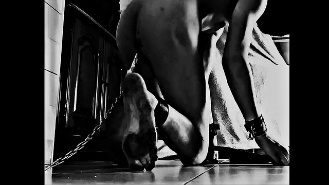 A real BDSM slave cleans the floor, shackled by his buttocks, on the orders of his cruel Mistress. video Slave-K001