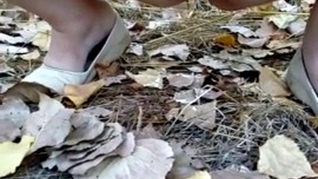 PISS - 20 VIDEO SAMLING