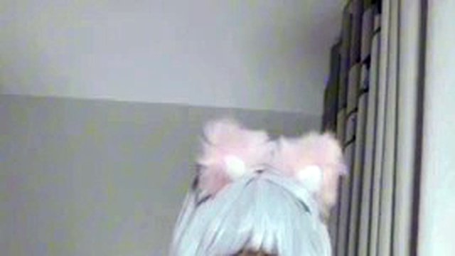 Genshin Impact cosplay Chinese