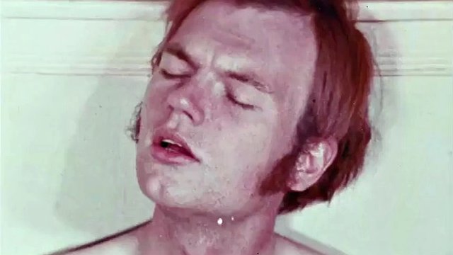 Doppelficker (1971)
