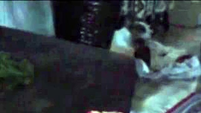 FOOT | FOOT WORSHIP | FEMDOM | FEET | DOMINATION | HUMILIATION