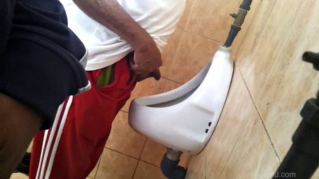 Chubold - v4640 - Urinal Hunter - Volume 30