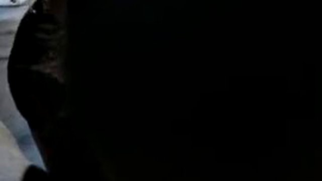Prostitute Gina: swallowed cum in the barn