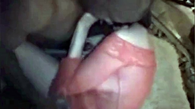 Two mature women blacked by BBC bulls