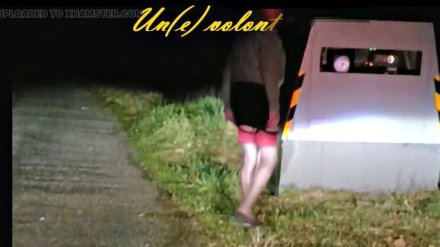 Flash in front of the speed control camera.