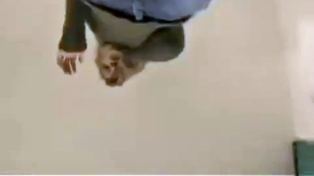 Hage Giantess - Blonde
