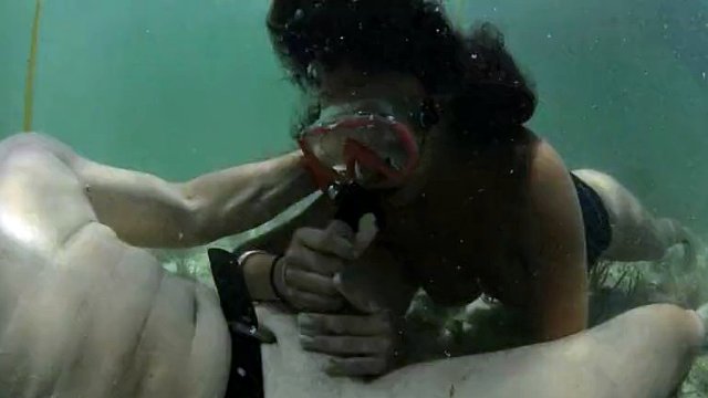 underwater 46378
