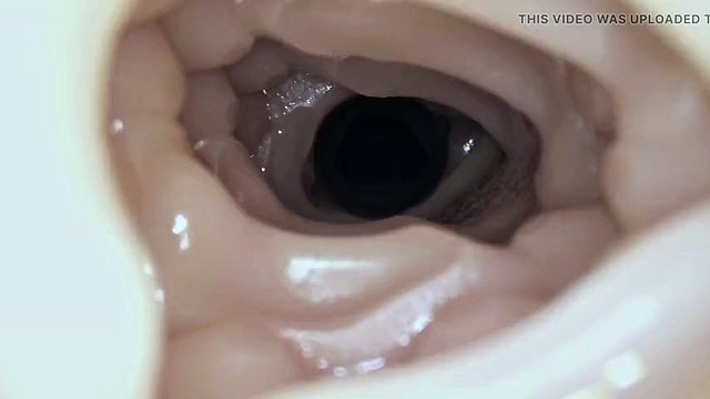 Fucking Fleshlight with a creampie