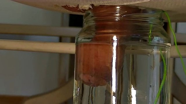 electro estim: shot in the short water