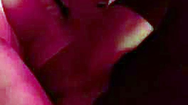 Festa: pompini, missionario e porno hardcore