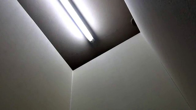Γιαπωνέζικα κορίτσια που τσαντίζουν τα εσώρουχα και τα παντελόνια της μουλιάζουν
