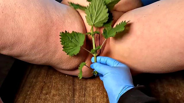 Best of nettles and needles 2024