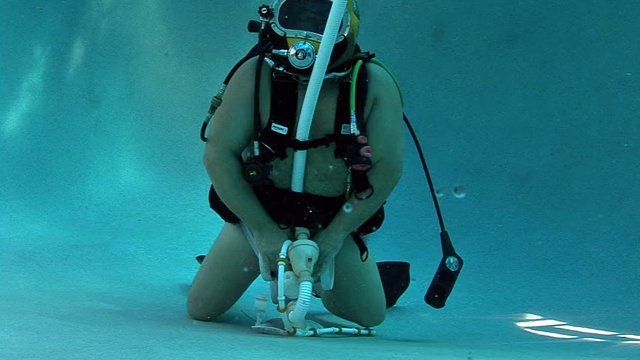 SCUBA Bear feeding pool cleaner